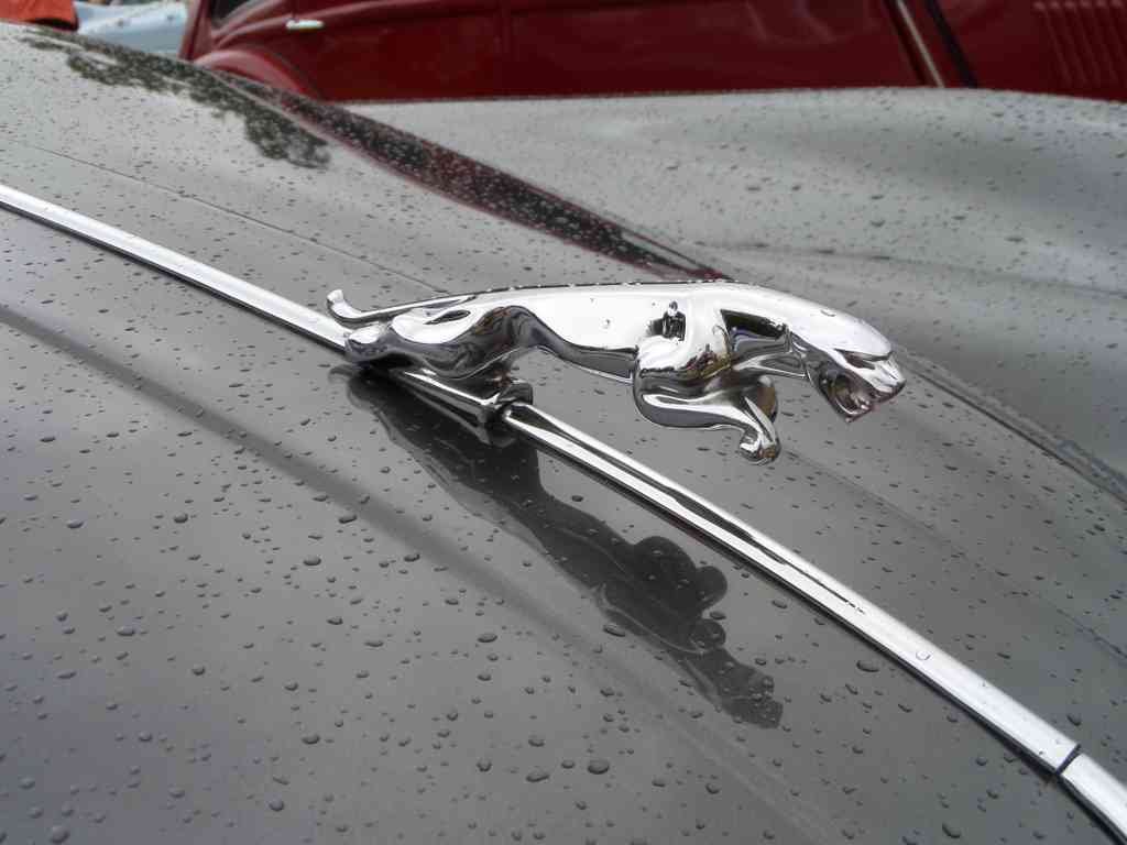 Jaguar XK 150 Bonnet 2384 Grille A4 Photo Print