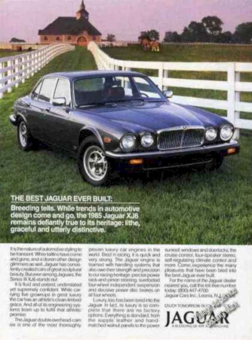 Jaguar Xj8 Grey Vintage Retro Advert Ads A4 Photo Print