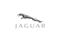 Jaguar1 A4 Photo Print