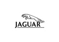 Jaguar4 A4 Photo Print