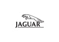 Jaguar6 A4 Photo Print