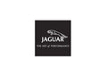 Jaguar7 A4 Photo Print
