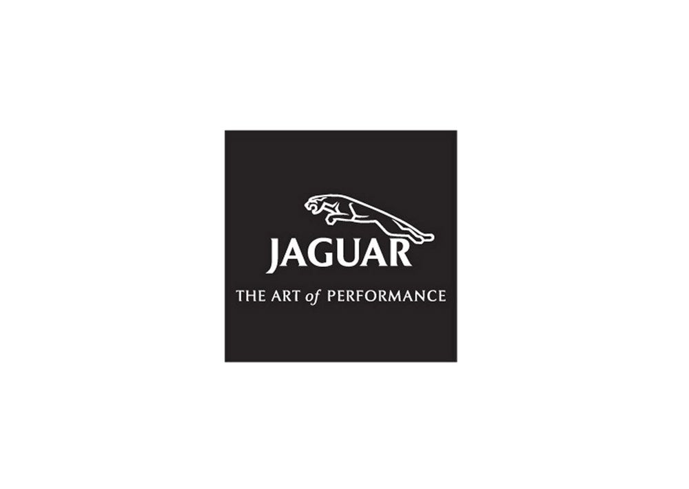 Jaguar7 A4 Photo Print