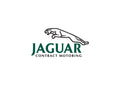 Jaguar8 A4 Photo Print