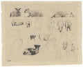 James Charles studies of sheep 1863 Art A4 Photo Print