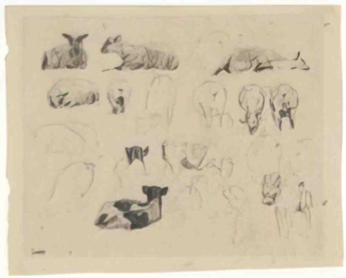 James Charles studies of sheep 1863 Art A4 Photo Print