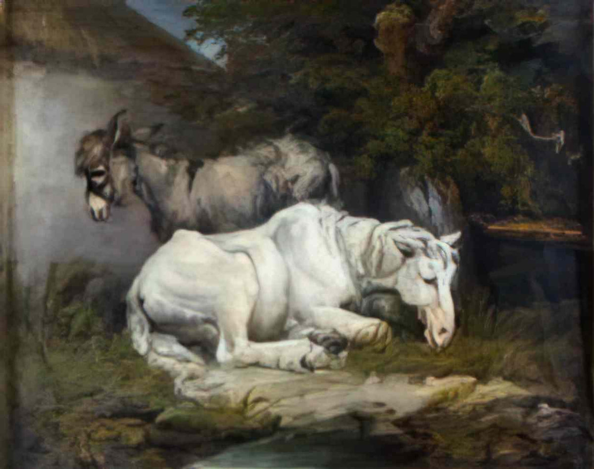 James Ward horse and donkey Art A4 Photo Print