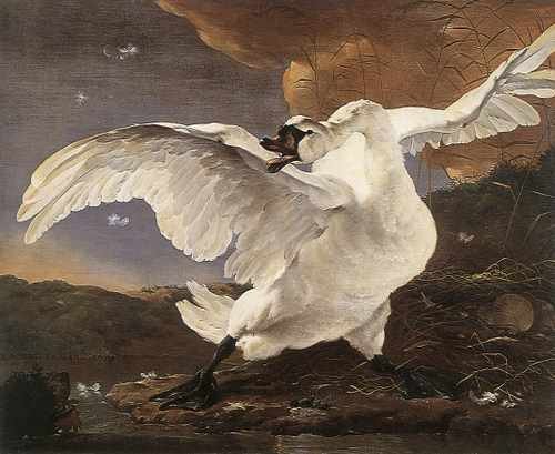 Jan Asselyn The Threatened Swan A4 Photo Print