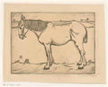 Jan Mankes paard rp p 1921 1924 Art A4 Photo Print UK