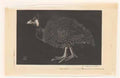 Jan Mankes parelhoen rp p 1981 253 Art A4 Photo Print