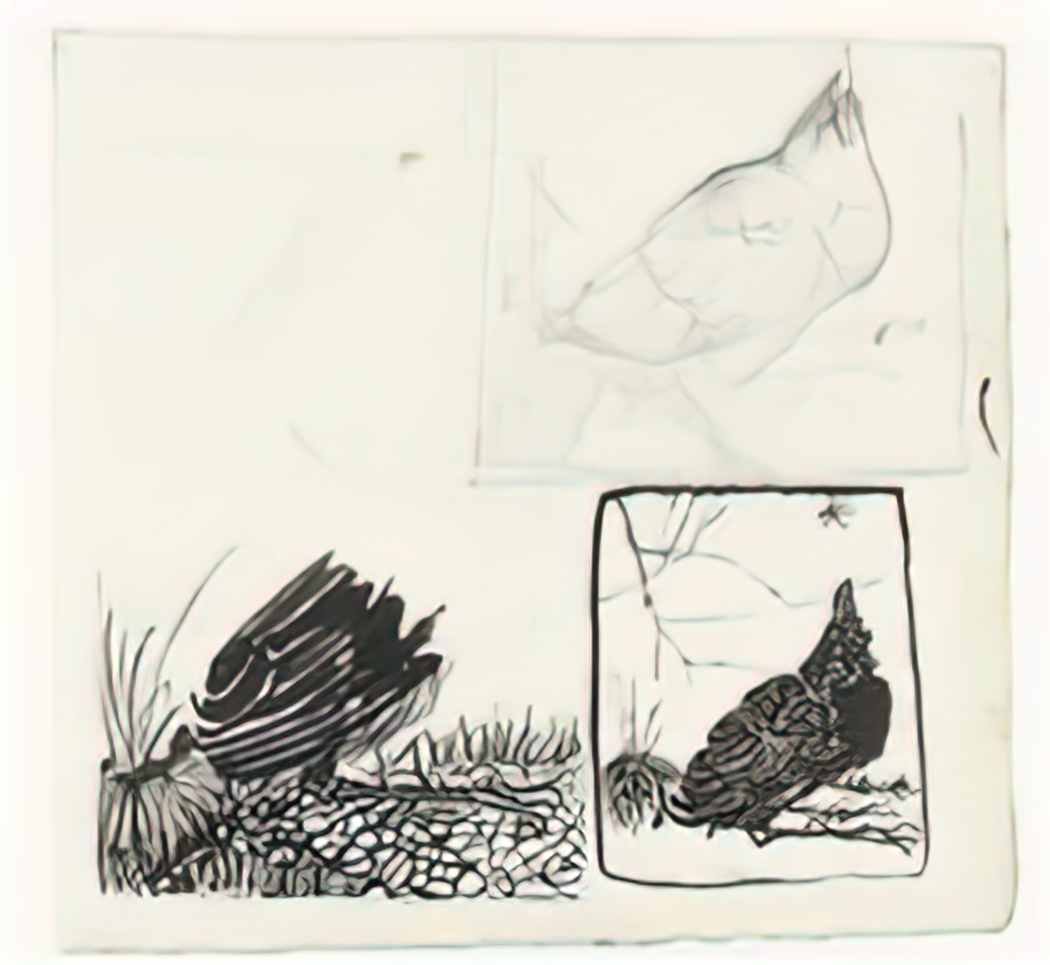 Jan Mankes schetsen van een omhoog kijkende kraai.jpeg!PinterestSmall Art A4 Photo Print