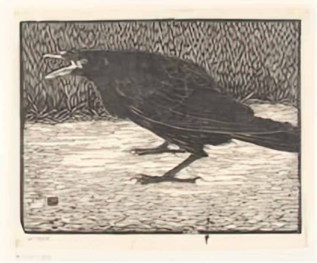 Jan Mankes schreeuwende kraai rp p 1921 1935 Art A4 Photo Print UK