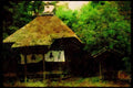 Japan 065005 Modest Country Sanctuary A4 Limited Edition Watercolour Print