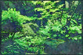 Japan 065006 Garden Well With Dipper A4 Limited Edition Watercolour Print