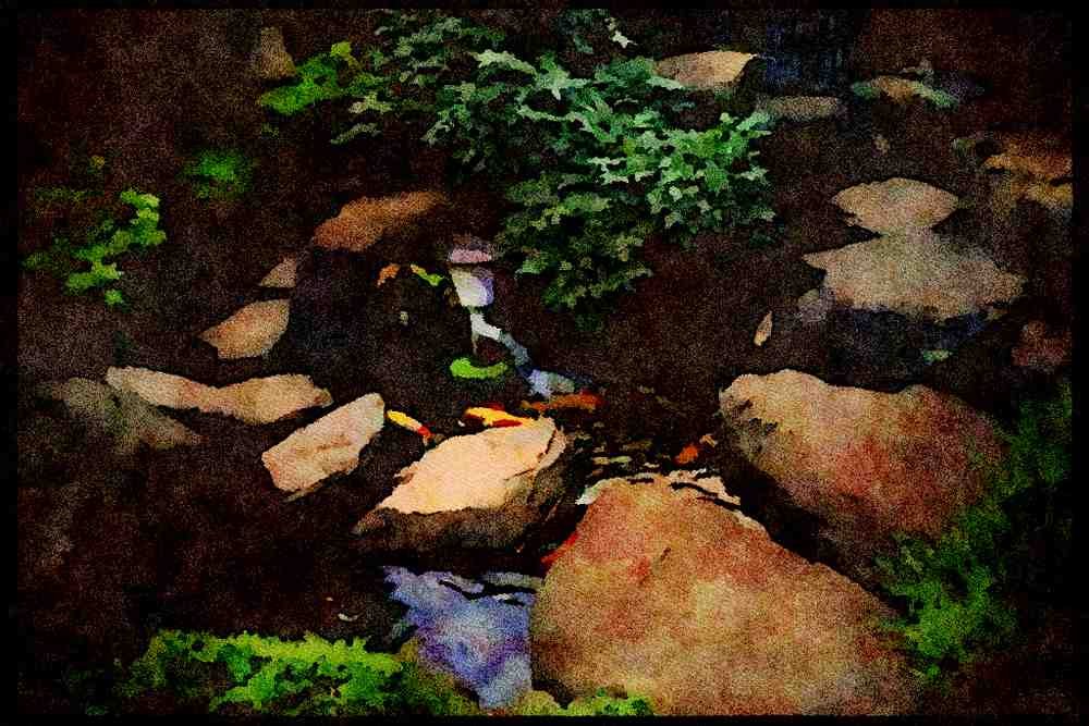 Japan 065007 Garden Pond With Carps A4 Limited Edition Watercolour Print