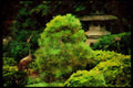 Japan 065028 Stone Lantern & Crane In A Garden A4 Limited Edition Watercolour Print