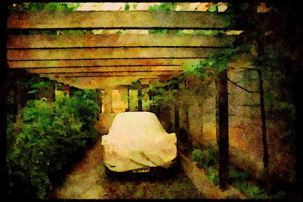 Japan 065062 Typical Car Protection A4 Limited Edition Watercolour Print