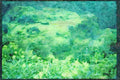 Japan 065069 Farmland A4 Limited Edition Watercolour Print