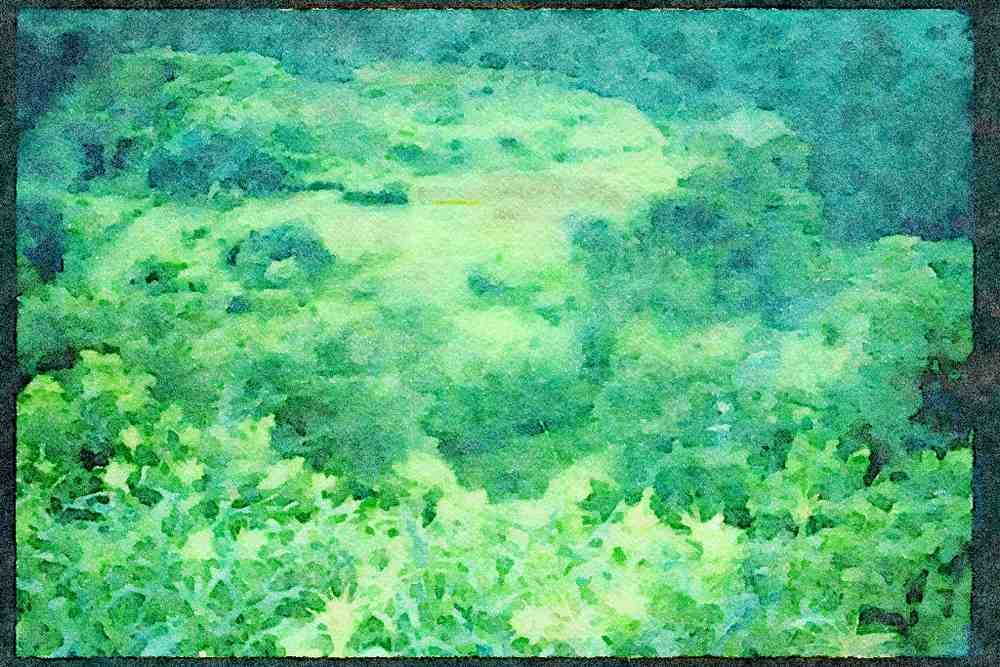 Japan 065069 Farmland A4 Limited Edition Watercolour Print