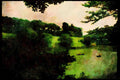 Japan 065077 Imperial Palace Park A4 Limited Edition Watercolour Print
