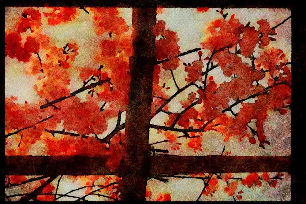 Japan 065079 Branches In Really Full Bloom A4 Limited Edition Watercolour Print