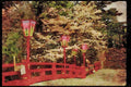 Japan 065114 Bridge And Cherry Blossoms, Kofu A4 Limited Edition Watercolour Print