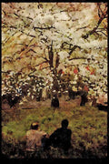 Japan 065125 Cherry Blossom Viewing Kofu A4 Limited Edition Watercolour Print