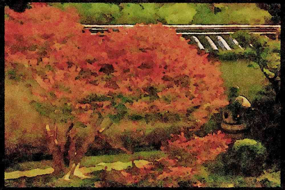 Japanese Japan Garden 334040 Kyoto lantern With Large Red Japanese Maple Tree A4 Limited Edition Watercolour Print