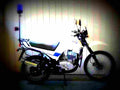 Jawa 350 Tramp 1998 1 motorbike A4 Photo Print