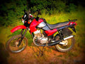 Jawa 350 Tramp 1998 2 motorbike A4 Photo Print