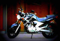 Jawa 350 Tramp 1998 4 motorbike A4 Photo Print