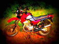 Jawa 350 Tramp 2000 5 motorbike A4 Photo Print