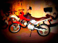 Jawa T 350 1993 5 motorbike A4 Photo Print
