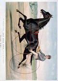 Jay Eye See 2 Horse A4 Photo Print