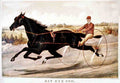 Jay Eye See Horse 001 Vintage A4 Photo Print