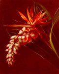 Jensen Johan Laurentz Bird Of Paradise A4 Photo Print