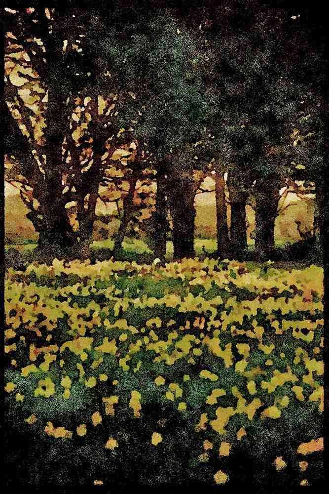Jersey Channel Isles 286026 Daffodil Field A4 Limited Edition Watercolour Print