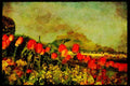 Jersey Channel Isles 286031 Tulip Flowered At Gorey A4 Limited Edition Watercolour Print