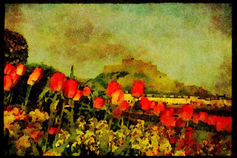 Jersey Channel Isles 286031 Tulip Flowered At Gorey A4 Limited Edition Watercolour Print