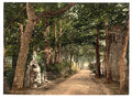 Jersey Vinchelez Lane Channel Islands Vintage A4 Photo Print