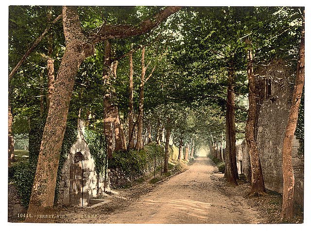 Jersey Vinchelez Lane Channel Islands Vintage A4 Photo Print