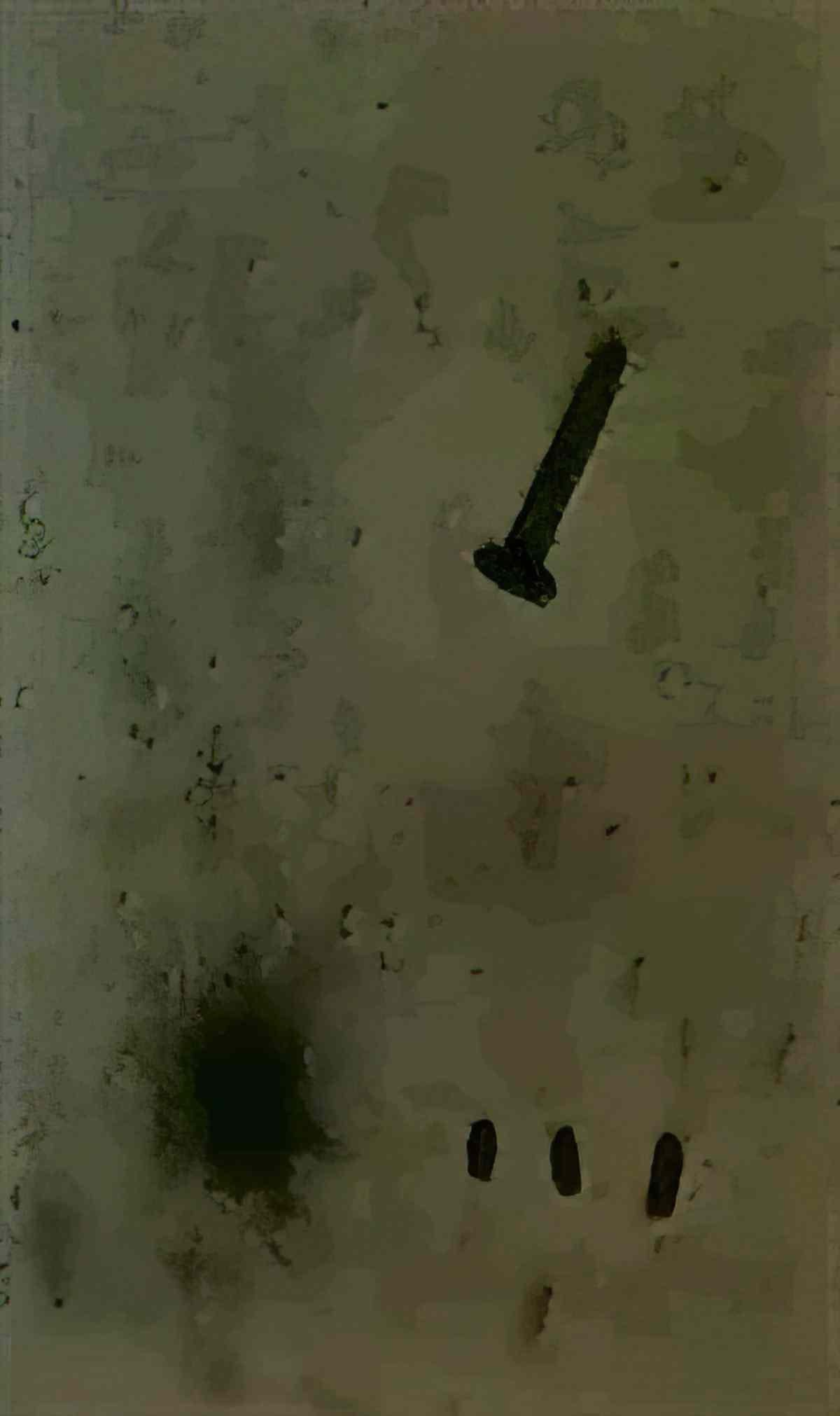 Joan Miro composition hommage a edgar varese i Art A4 Photo Print