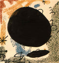 Joan Miro las esencias de la tierra1 Art A4 Photo Print