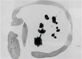 Joan Miro sans titre109 Art A4 Photo Print