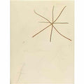 Joan Miro tete d’homme Art A4 Photo Print