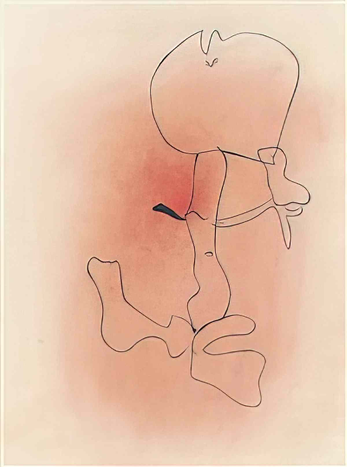 Joan Miro untitled essencies de la terra Art A4 Photo Print