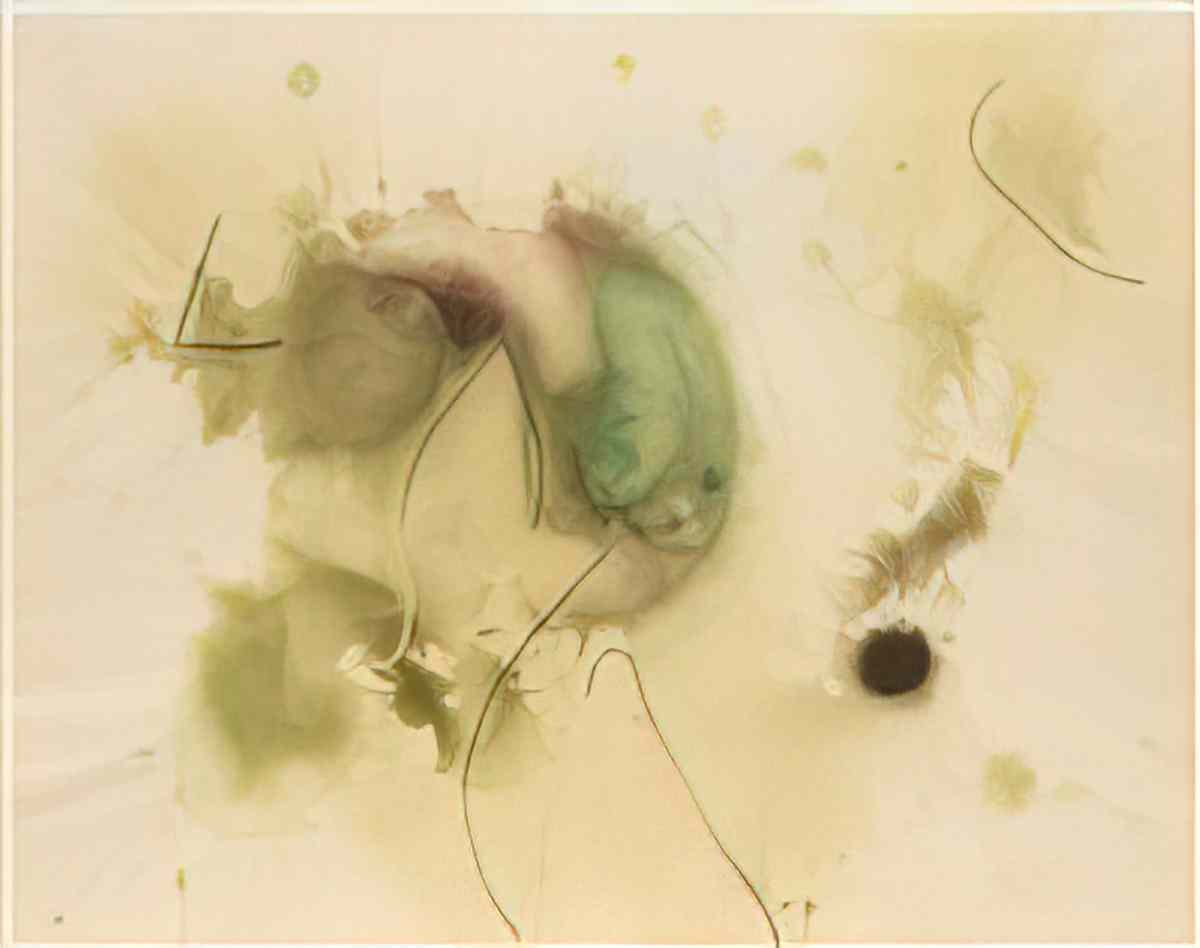 Joan Miro untitled14 Art A4 Photo Print