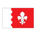 Joelahtme Vald Flag N2478 A4 Photo Print