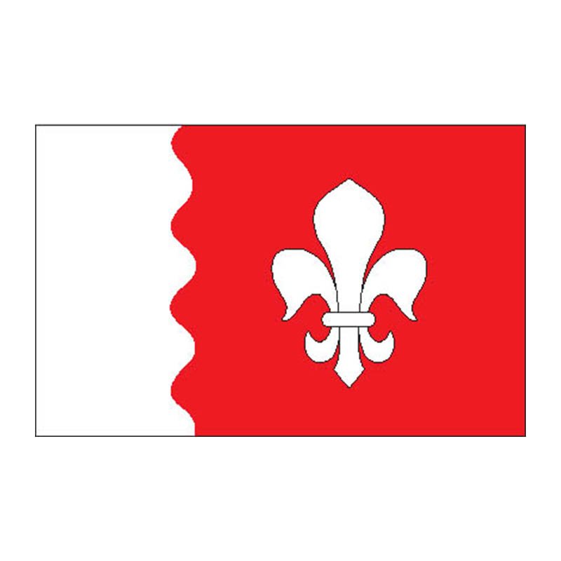 Joelahtme Vald Flag N2478 A4 Photo Print