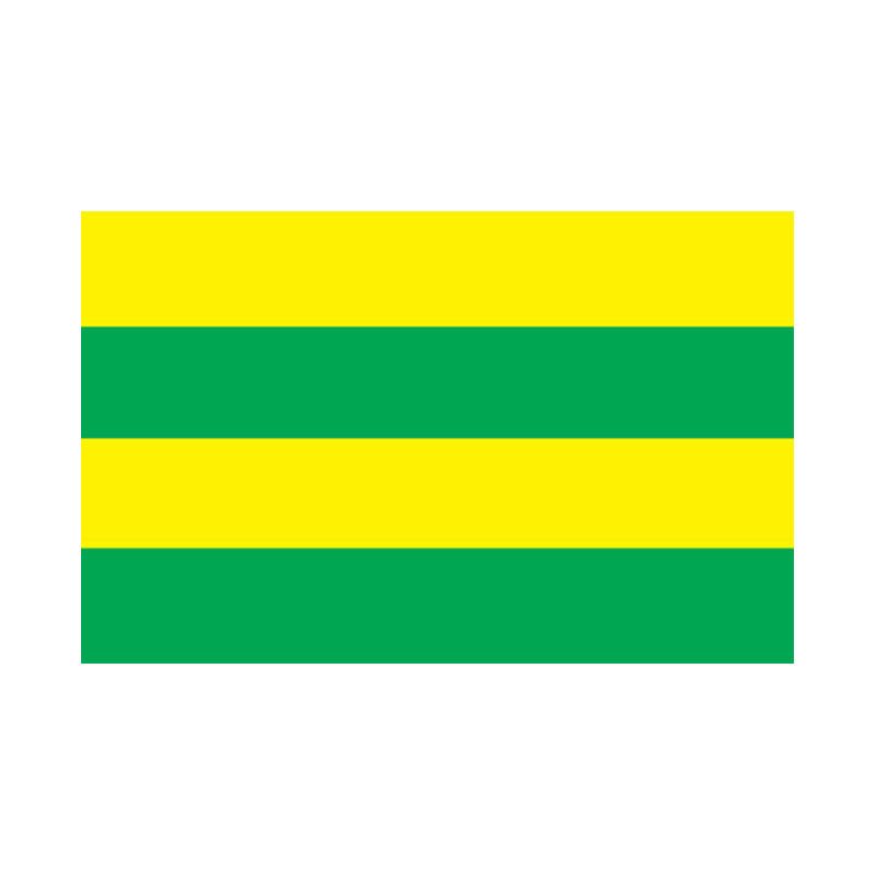 Jogeva City Flag N2820 A4 Photo Print